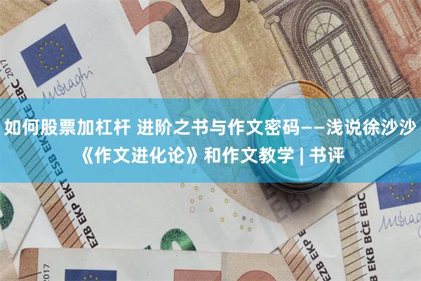 如何股票加杠杆 进阶之书与作文密码——浅说徐沙沙《作文进化论》和作文教学 | 书评