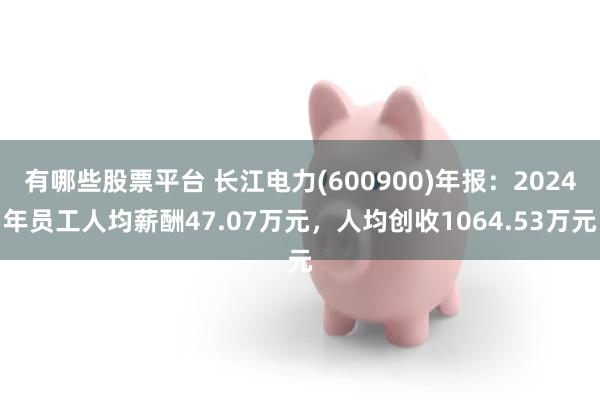 有哪些股票平台 长江电力(600900)年报：2024年员工人均薪酬47.07万元，人均创收1064.53万元