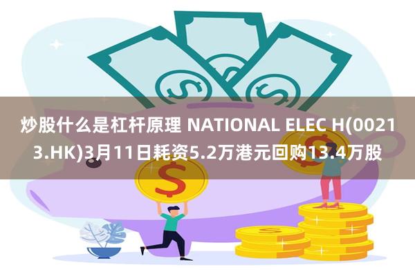 炒股什么是杠杆原理 NATIONAL ELEC H(00213.HK)3月11日耗资5.2万港元回购13.4万股