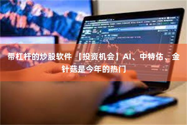 带杠杆的炒股软件 【投资机会】AI、中特估、金针菇是今年的热门