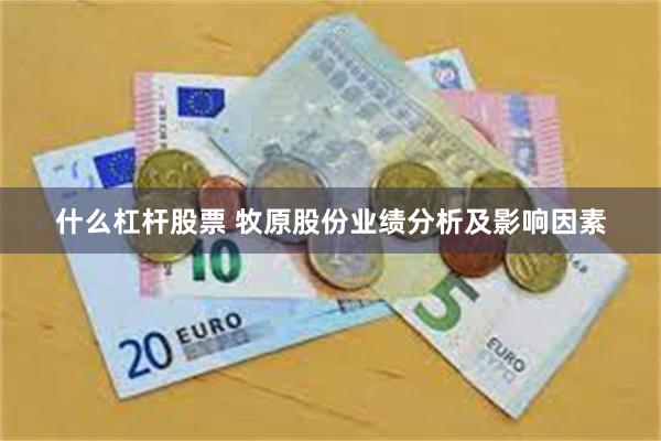 什么杠杆股票 牧原股份业绩分析及影响因素