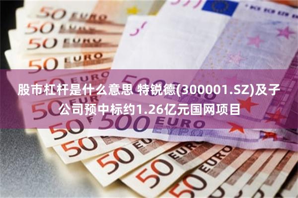 股市杠杆是什么意思 特锐德(300001.SZ)及子公司预中标约1.26亿元国网项目