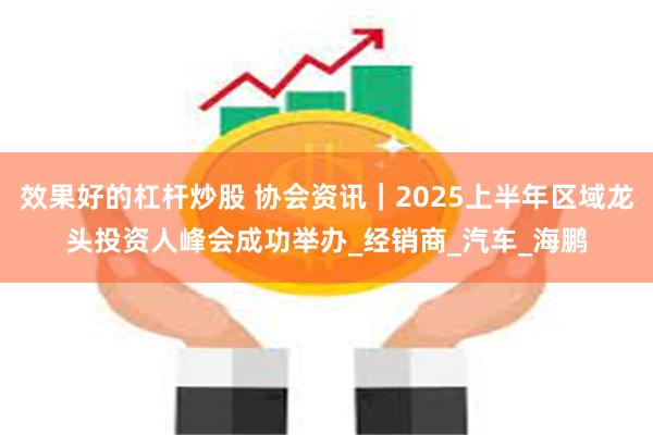 效果好的杠杆炒股 协会资讯｜2025上半年区域龙头投资人峰会成功举办_经销商_汽车_海鹏
