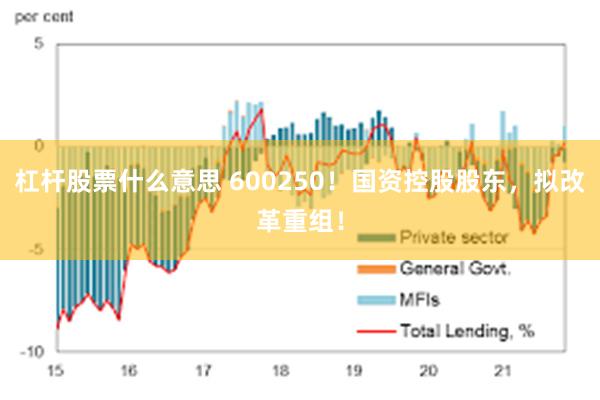 杠杆股票什么意思 600250！国资控股股东，拟改革重组！