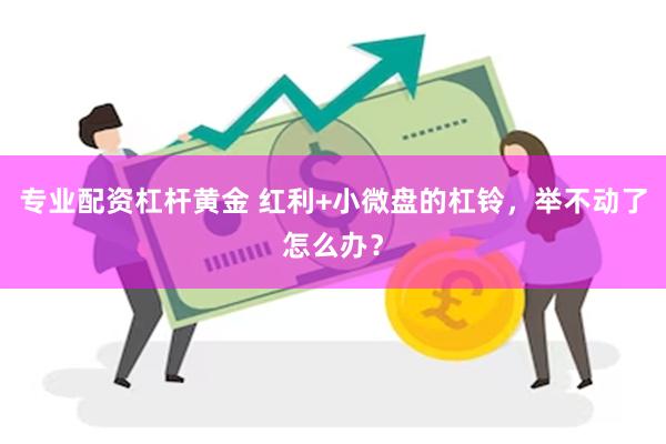 专业配资杠杆黄金 红利+小微盘的杠铃，举不动了怎么办？