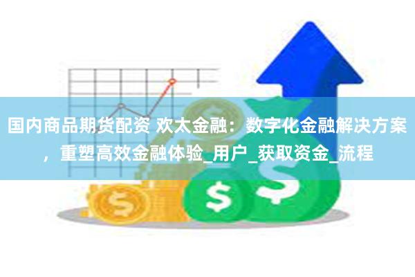 国内商品期货配资 欢太金融：数字化金融解决方案，重塑高效金融体验_用户_获取资金_流程