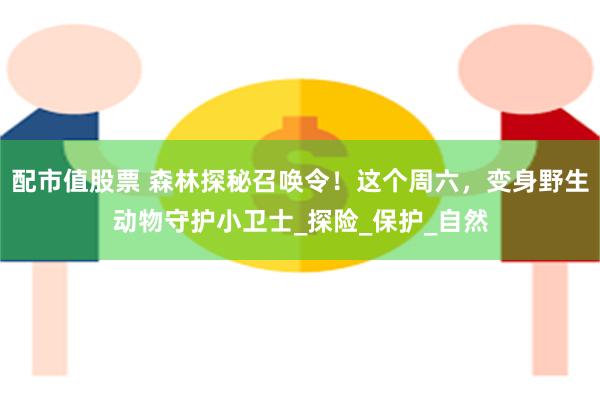配市值股票 森林探秘召唤令！这个周六，变身野生动物守护小卫士_探险_保护_自然